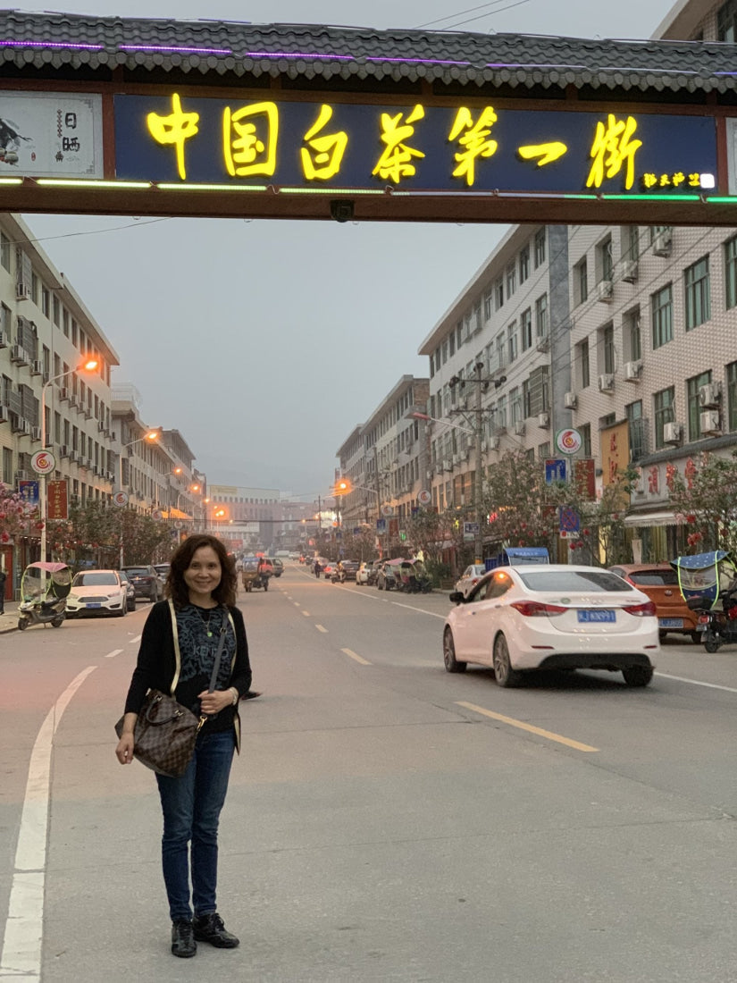 2013 Vintage Fuding White Peony Bai Mu Dan Cake Nature’s Beauty