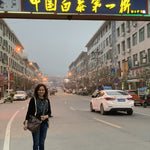 2013 Vintage Fuding White Peony Bai Mu Dan Cake Nature’s Beauty