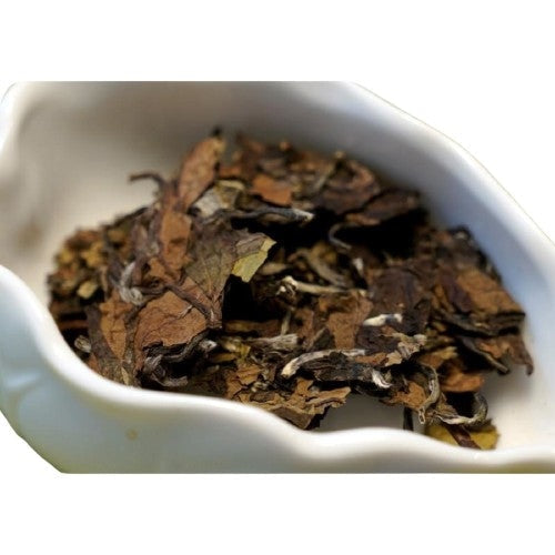 2013 Vintage Fuding White Peony Bai Mu Dan Cake Nature’s Beauty