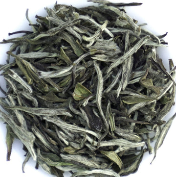 White Tea - 2016 Aged Wild Grown Fuding White Peony White Tea Bai Mu