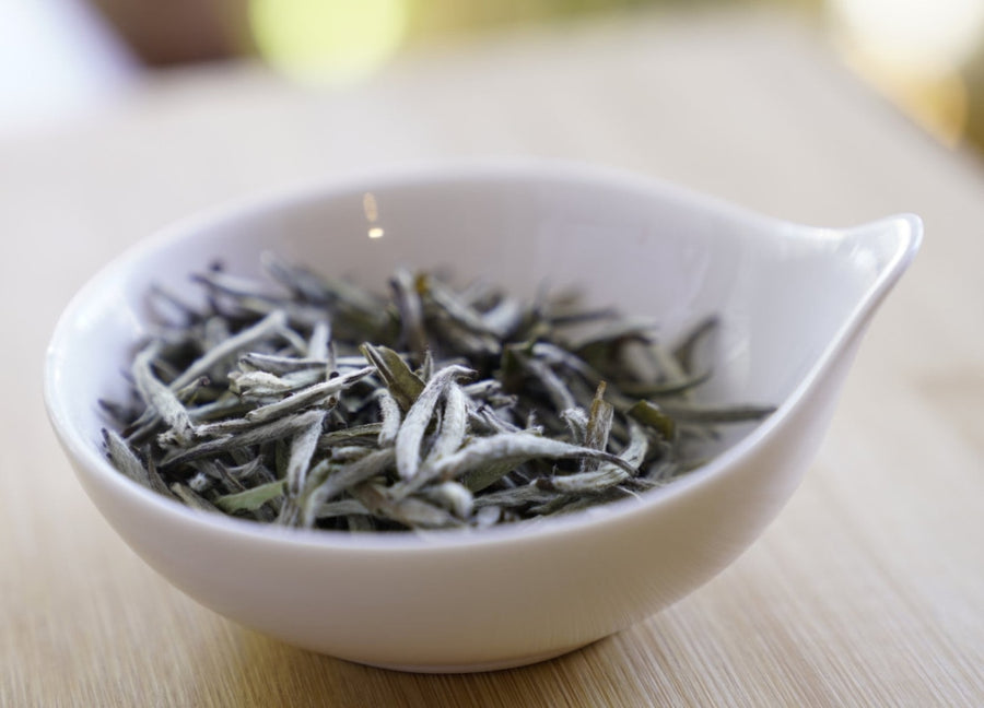 White Tea - 2017 Top Grade Fuding Silver Needles White Tea Bai Hao