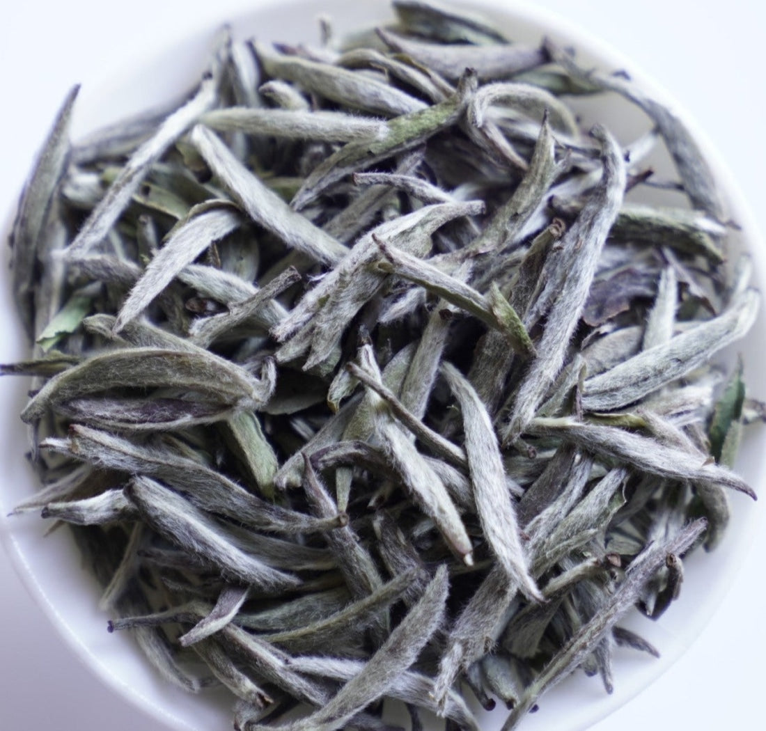 Meimei Fine Teas 2017 Top Grade Fuding Silver Needles White Tea Bai
