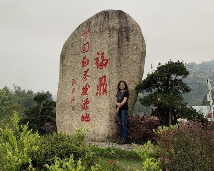 2018 Fuding Premium Shou Mei White Tea Cake Longevity Eyebrow