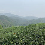 2018 Fuding Premium Shou Mei White Tea Cake Longevity Eyebrow