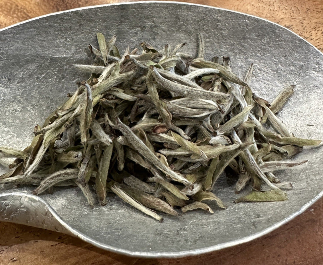 2019 and 2017 Fuding Silver Needles White Tea Bai Hao Yin Zhen