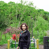 2019 and 2017 Fuding Silver Needles White Tea Bai Hao Yin Zhen