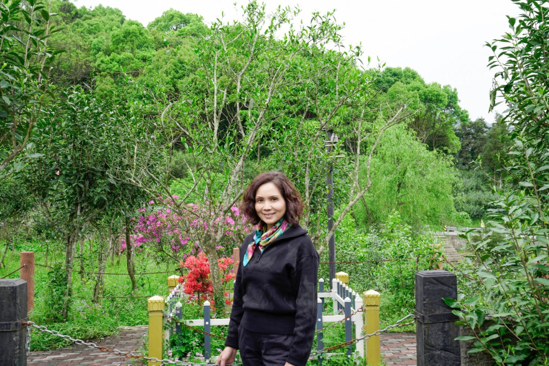 2019 and 2017 Fuding Silver Needles White Tea Bai Hao Yin Zhen