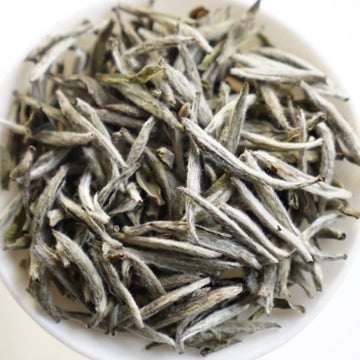 White Tea - 2019 Fuding Silver Needles Bai Hao Yin Zhen MeiMei Fine
