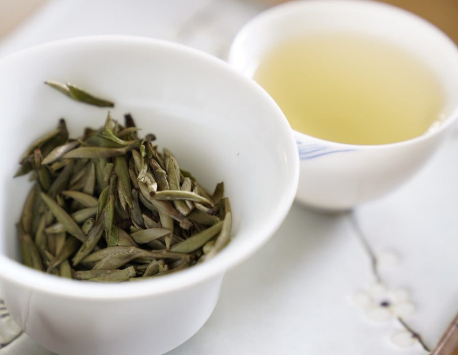 White Tea - 2019 Fuding Silver Needles White Tea Bai Hao Yin Zhen