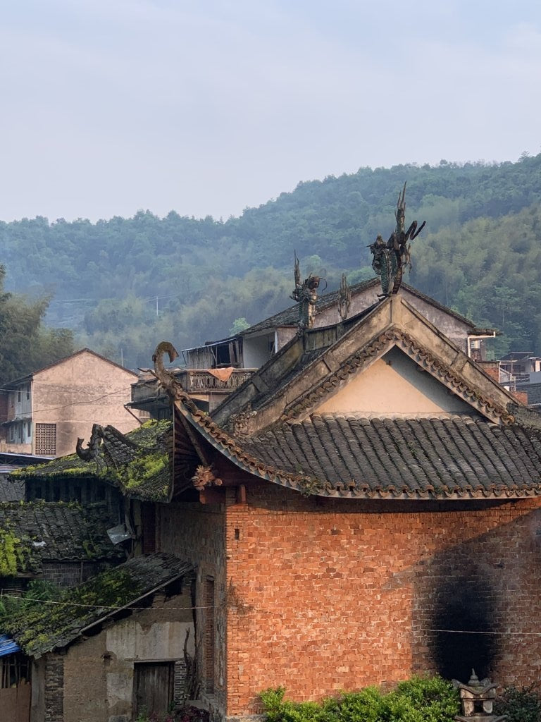 2019 Fuding Top Grade White Peony White Tea Bai Mu Dan