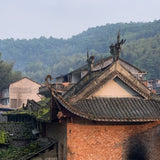 2019 Fuding Top Grade White Peony White Tea Bai Mu Dan