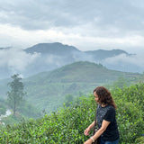 2019 Fuding Top Grade White Peony White Tea Bai Mu Dan
