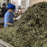 2019 Fuding Top Grade White Peony White Tea Bai Mu Dan