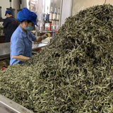 2019 Fuding Top Grade White Peony White Tea Bai Mu Dan