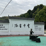 2019 Fuding Wild Grown White Peony Bai Mu Dan White Tea Mini Brick