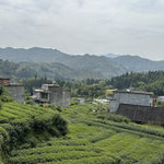 2019 Fuding Wild Grown White Peony Bai Mu Dan White Tea Mini Brick