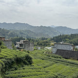 2019 Fuding Wild Grown White Peony Bai Mu Dan White Tea Mini Brick
