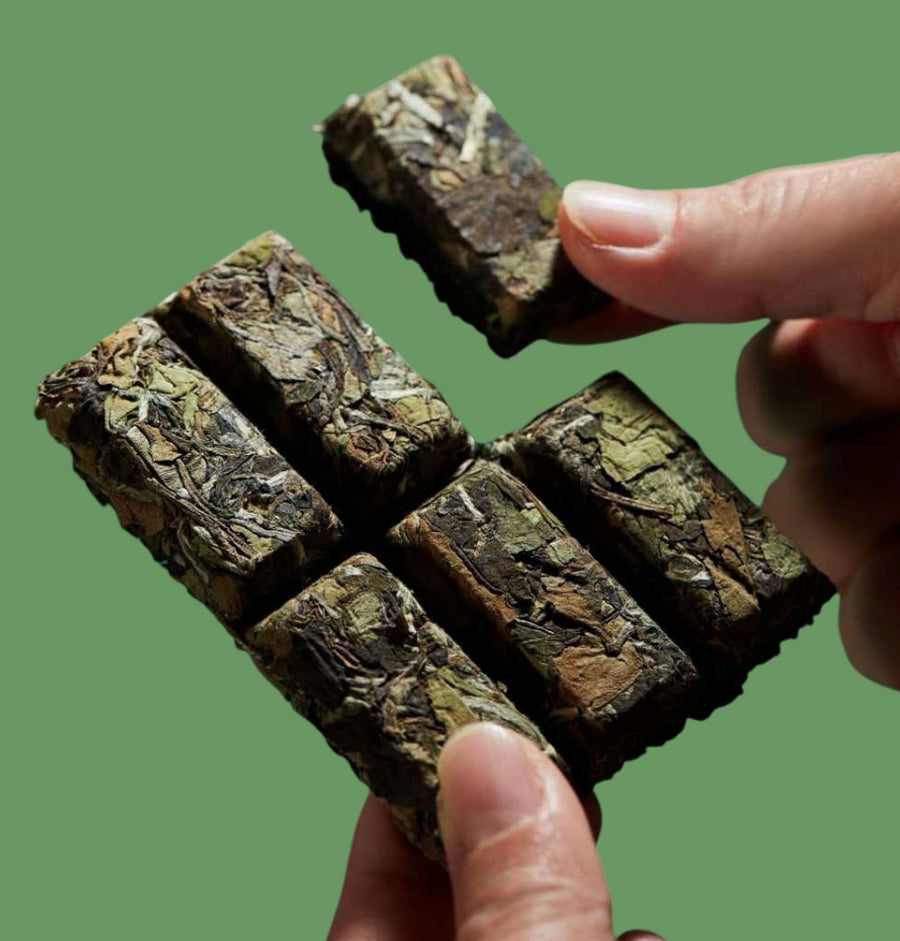 2019 Fuding Wild Grown White Peony Bai Mu Dan Mini Brick White Tea