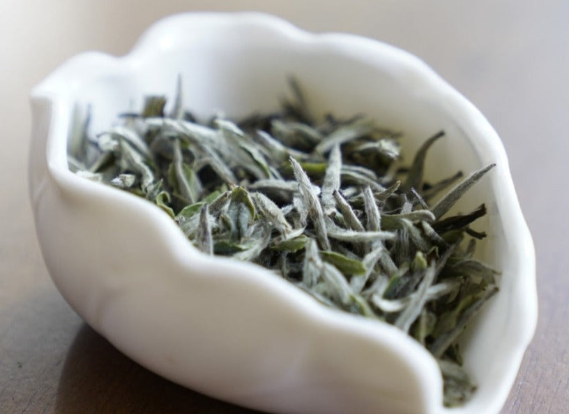 White Tea - 2023 Fuding Silver Needles White Tea Bai Hao Yin Zhen