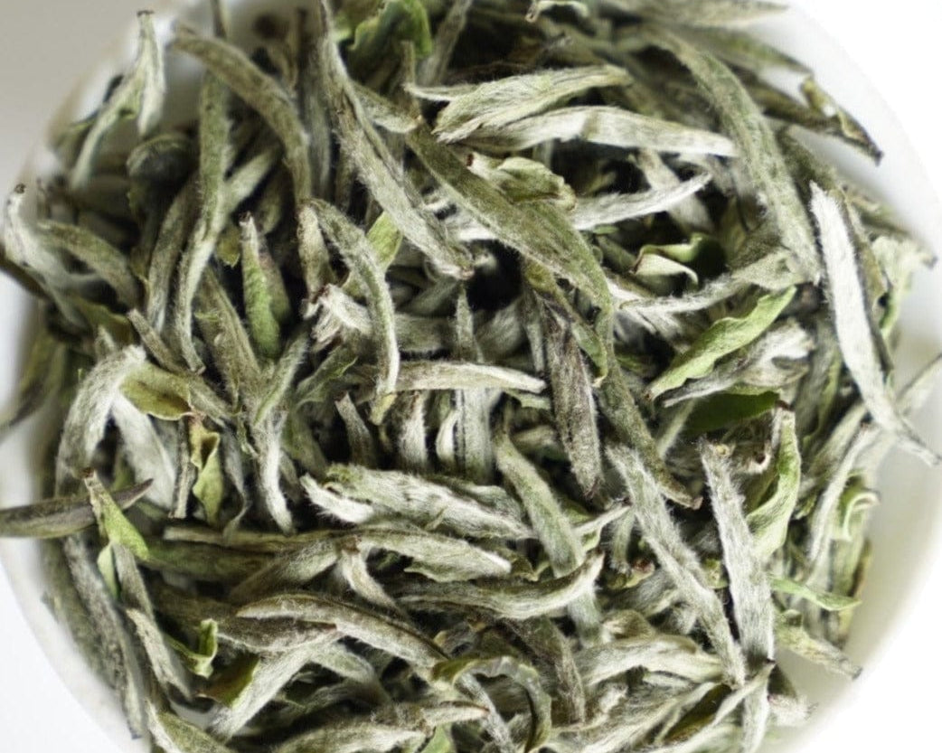 2023 Top Grade Fuding Silver Needles White Tea Bai Hao Yin Zhen