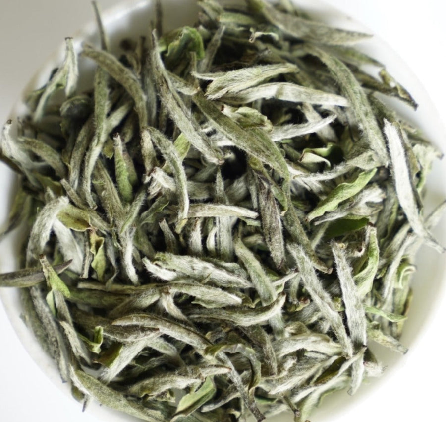 White Tea - 2023 Fuding Silver Needles White Tea Bai Hao Yin Zhen