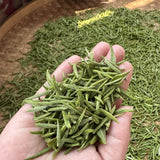 2023 Top Grade Fuding Silver Needles White Tea Bai Hao Yin Zhen