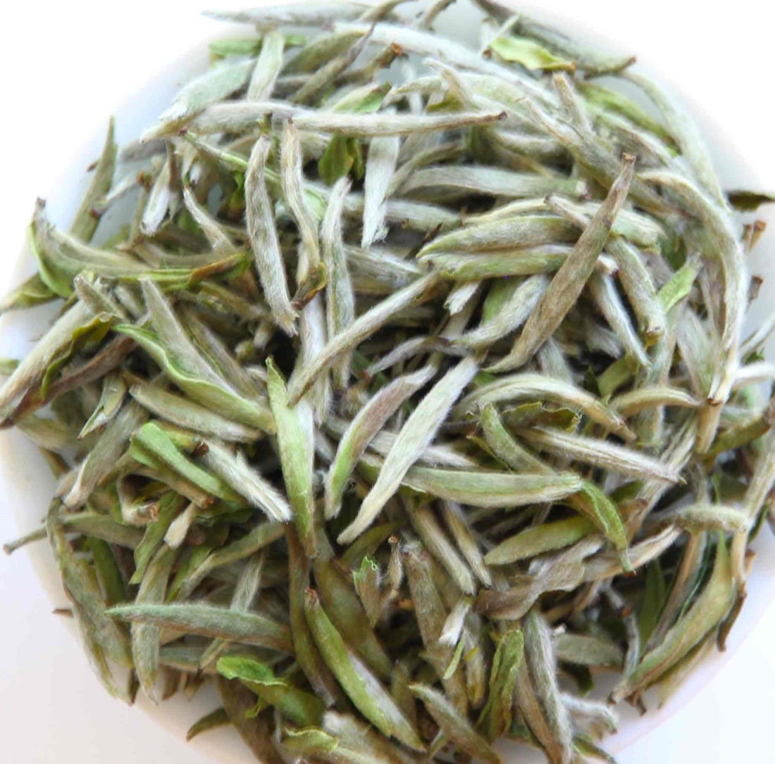 2023 Top Grade Fuding Silver Needles White Tea Bai Hao Yin Zhen