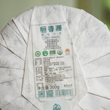 Organic Super Grade Gongmei Heavenly Treasure White Tea Cake