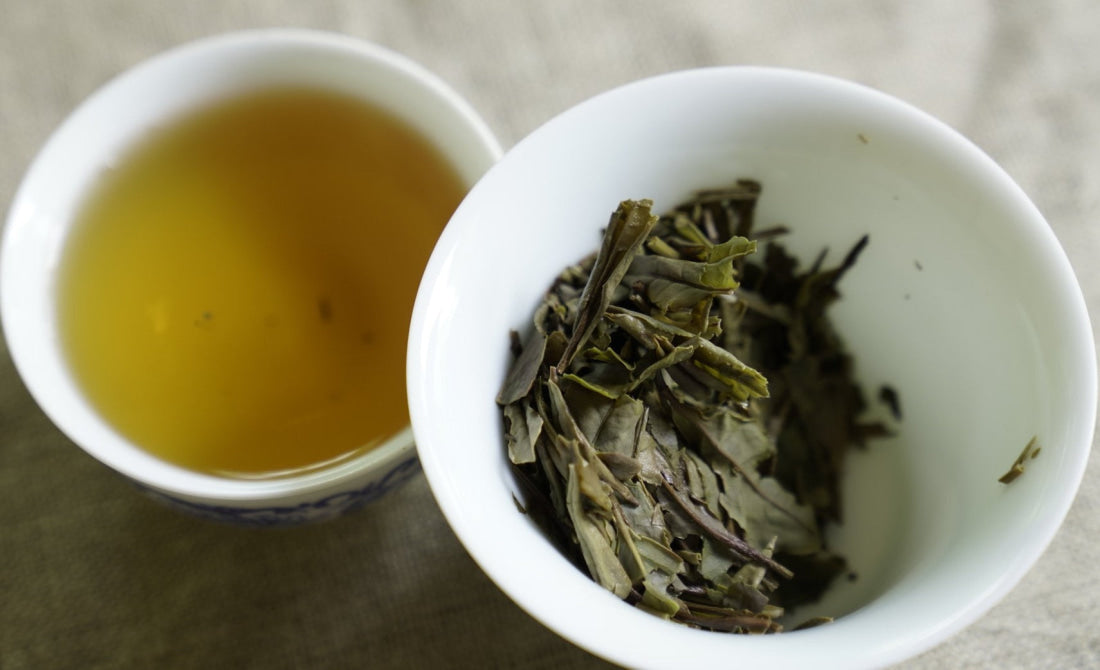 Organic Super Grade Gongmei Heavenly Treasure White Tea Cake