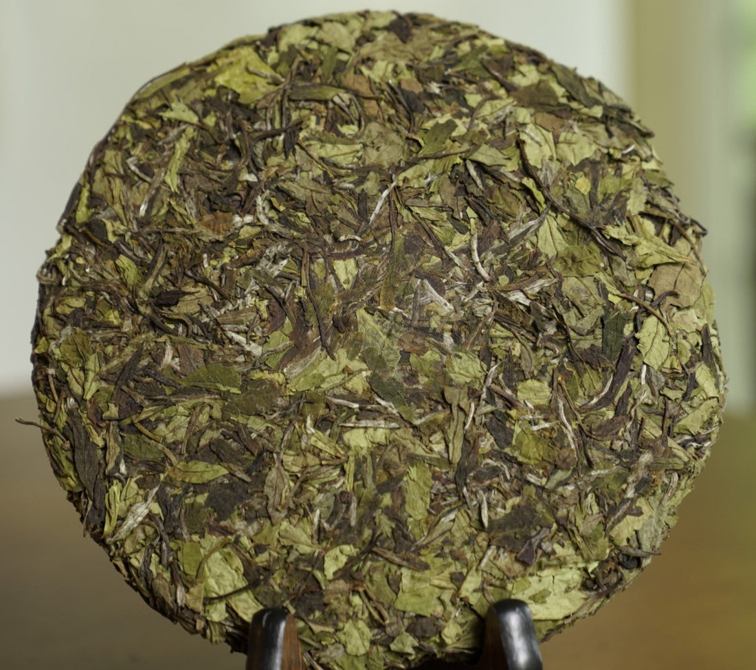 Organic Super Grade Gongmei Heavenly Treasure White Tea Cake