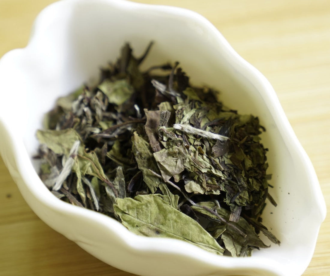 Organic Super Grade Gongmei Heavenly Treasure White Tea Cake