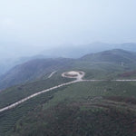 Organic Super Grade Gongmei Heavenly Treasure White Tea Cake