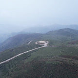 Organic Super Grade Gongmei Heavenly Treasure White Tea Cake