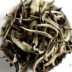 Yunnan Moonlight White Tea Top Grade Yue Guang Bai
