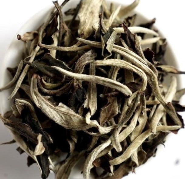 White Tea - Yunnan Moonlight White Tea Top Grade Yue Guang Bai