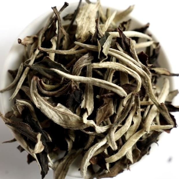 White Tea - Yunnan Moonlight Top Grade Yue Guang Bai MeiMei Fine Teas