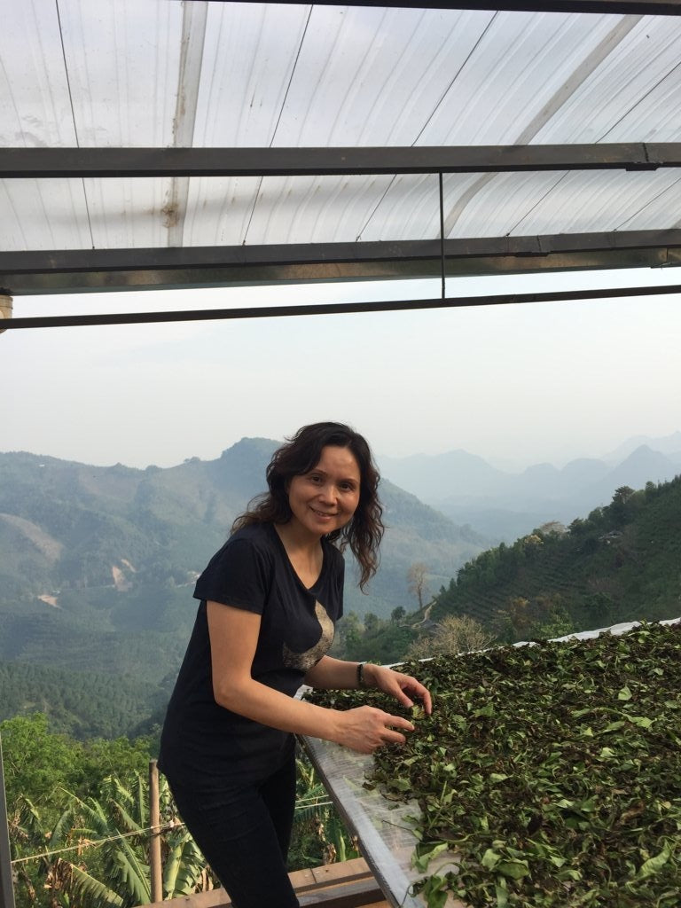 Yunnan Moonlight White Tea Top Grade Yue Guang Bai