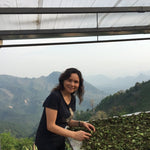 Yunnan Moonlight White Tea Top Grade Yue Guang Bai