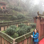 Early Spring Mengding Huang Ya Yellow Tea