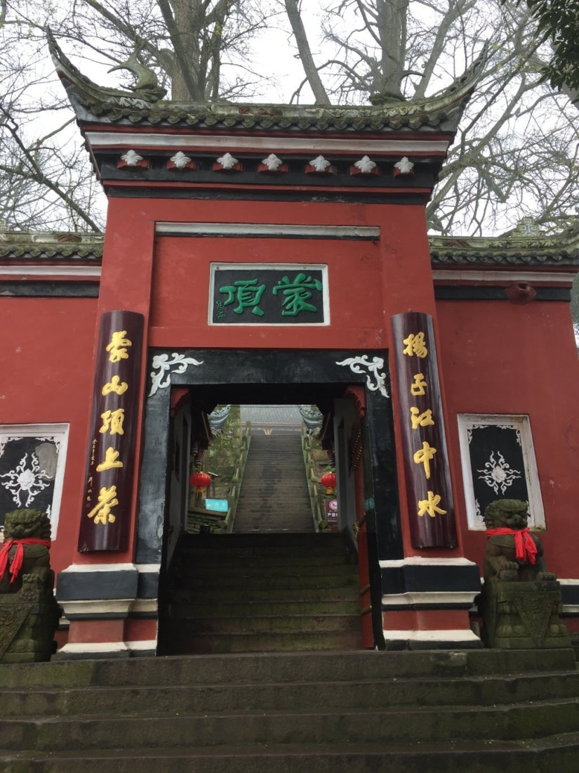 Early Spring Mengding Huang Ya Yellow Tea