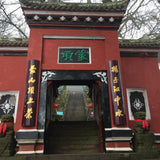 Early Spring Mengding Huang Ya Yellow Tea