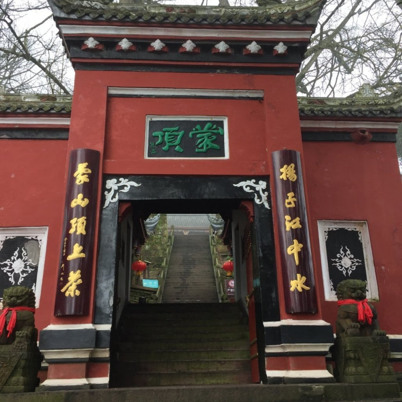 Early Spring Mengding Huang Ya Yellow Tea