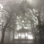 Early Spring Mengding Huang Ya Yellow Tea