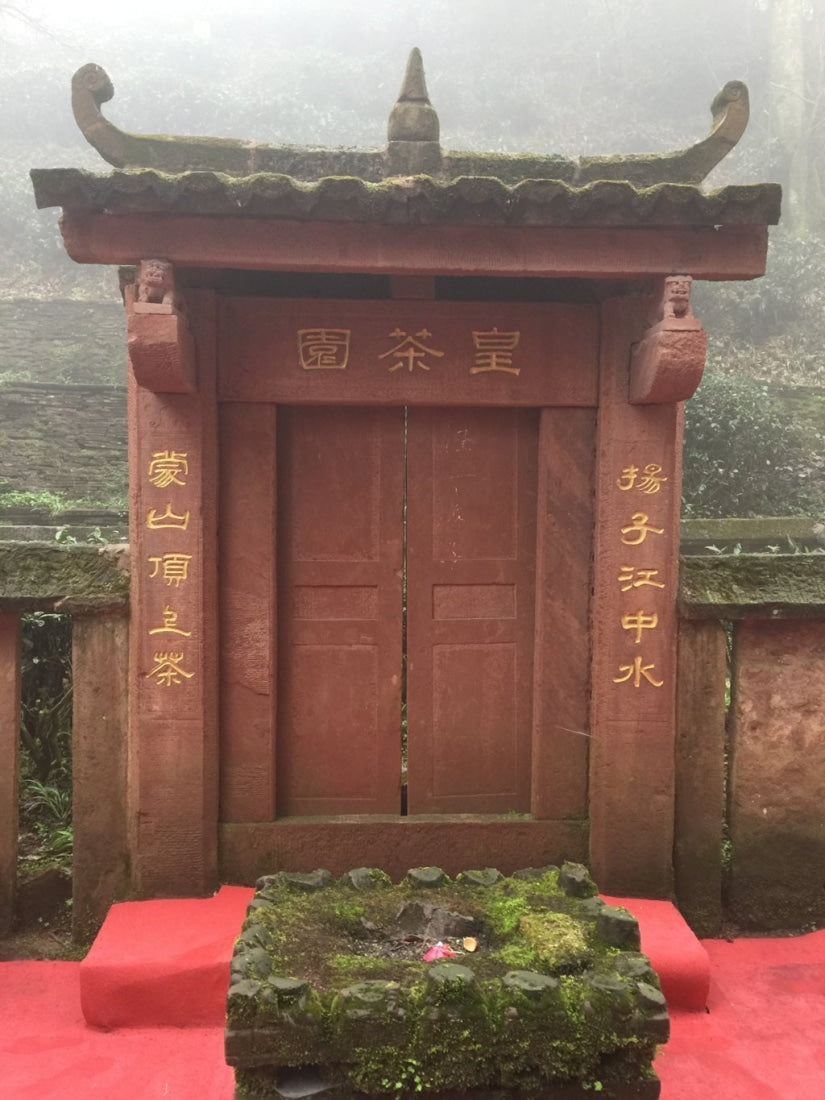 Early Spring Mengding Huang Ya Yellow Tea