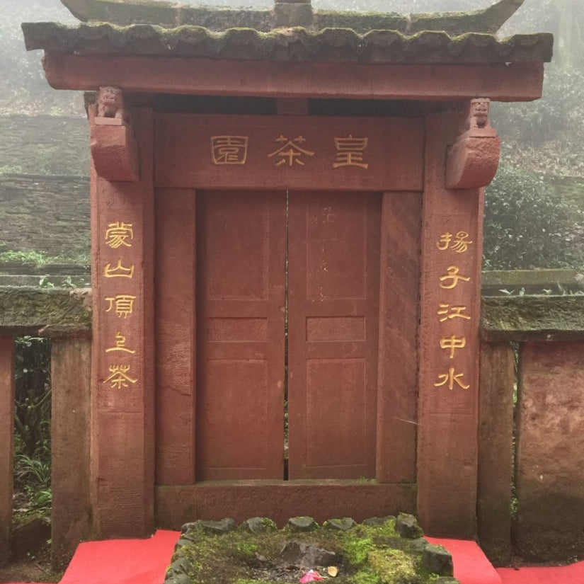 Early Spring Mengding Huang Ya Yellow Tea