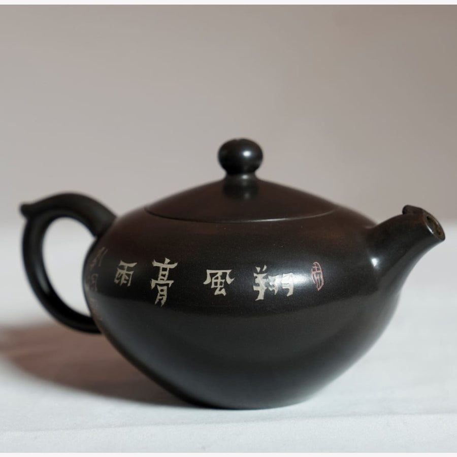 Tea Ware - Tian Jing Artisan Jian Shui Purple Clay Teapot Dragon