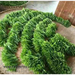 Top Grade Artisan Tai Ping Hou Kui Green Tea Monkey King