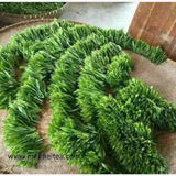 Top Grade Artisan Tai Ping Hou Kui Green Tea Monkey King