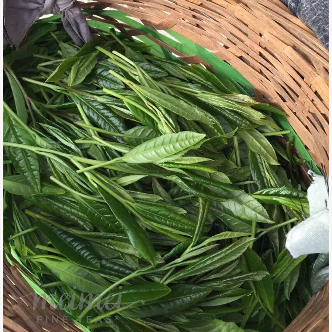 Top Grade Artisan Tai Ping Hou Kui Green Tea Monkey King