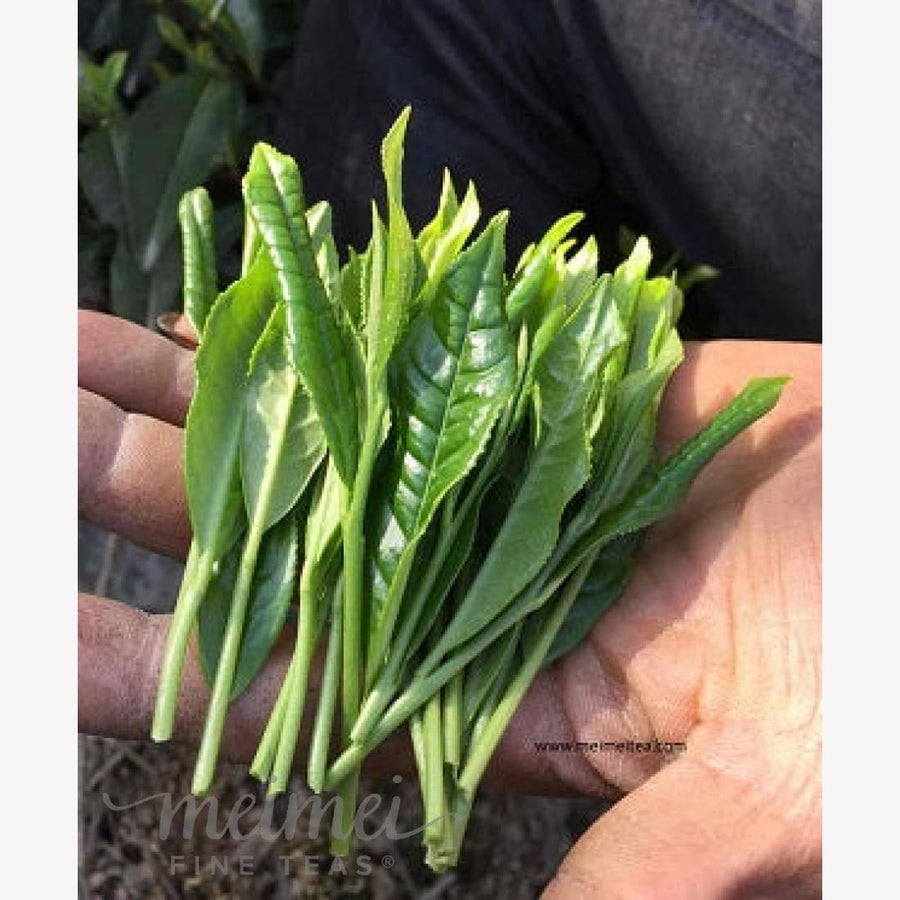 Top Grade Authentic Tai Ping Hou Kui Green Tea Monkey King